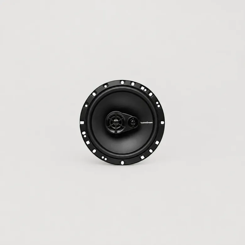Rockford Fosgate R165X3